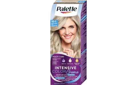 Palette Intensive Color Creme farba na vlasy 10-1 (C10) Ľadový striebroplavý 50 ml
