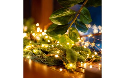 LED reťazec ML 20/WW