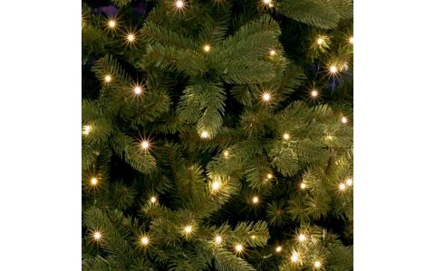 Zväzok micro LED svietiacich reťazcov, teplá biela, zelený kábel, IP44, dimmer ML 250G/WW