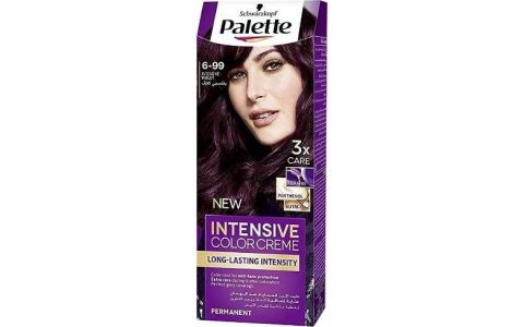 Palette Intensive Color Creme farba na vlasy 6-99 (V5) Intezívny fialový 50 ml