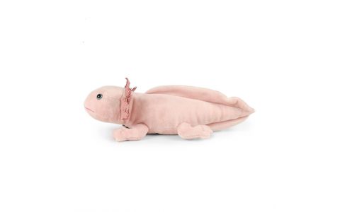 Plyšový axolotl