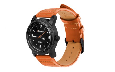 Ručičkové hodinky Delphin WISIA 