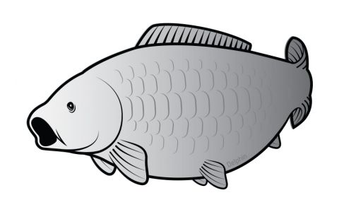 Nálepka kapor SILVER 