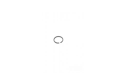 Krúžok FL2024/FL2050 olejový, diel 16