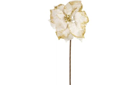 Kvet MagicHome Vianoce, Poinssetia, biela, stonka, veľkosť kvetu: 35 cm