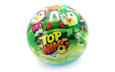 Lopta Top Wings 23 cm