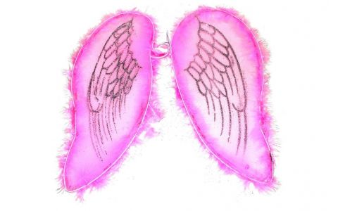 Krídla anjelské ružové