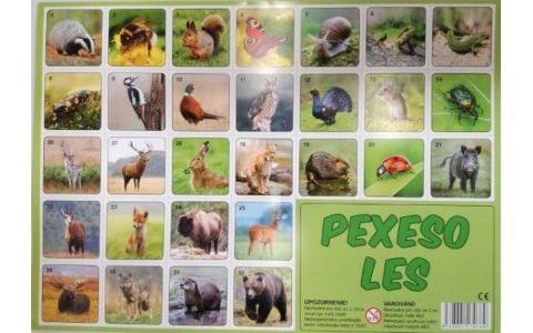 Pexeso Les fotografie