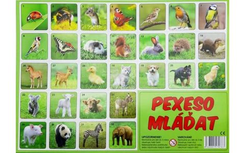 Pexeso mľádatá fotografie 32 dvojíc