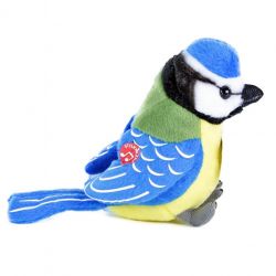 Vták Sýkorka modrá so zvukom