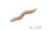 Umelá nástraha Delphin B! StinxWORM Garlic / 50ks 4cm / BLOODY