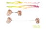 DuoPACK BOX Delphin TOXIN UVs / 6 x 8ks 8cm / MUDGOLD