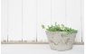Kvetináč G21 Baltic Bowl 35 x 20 x 35